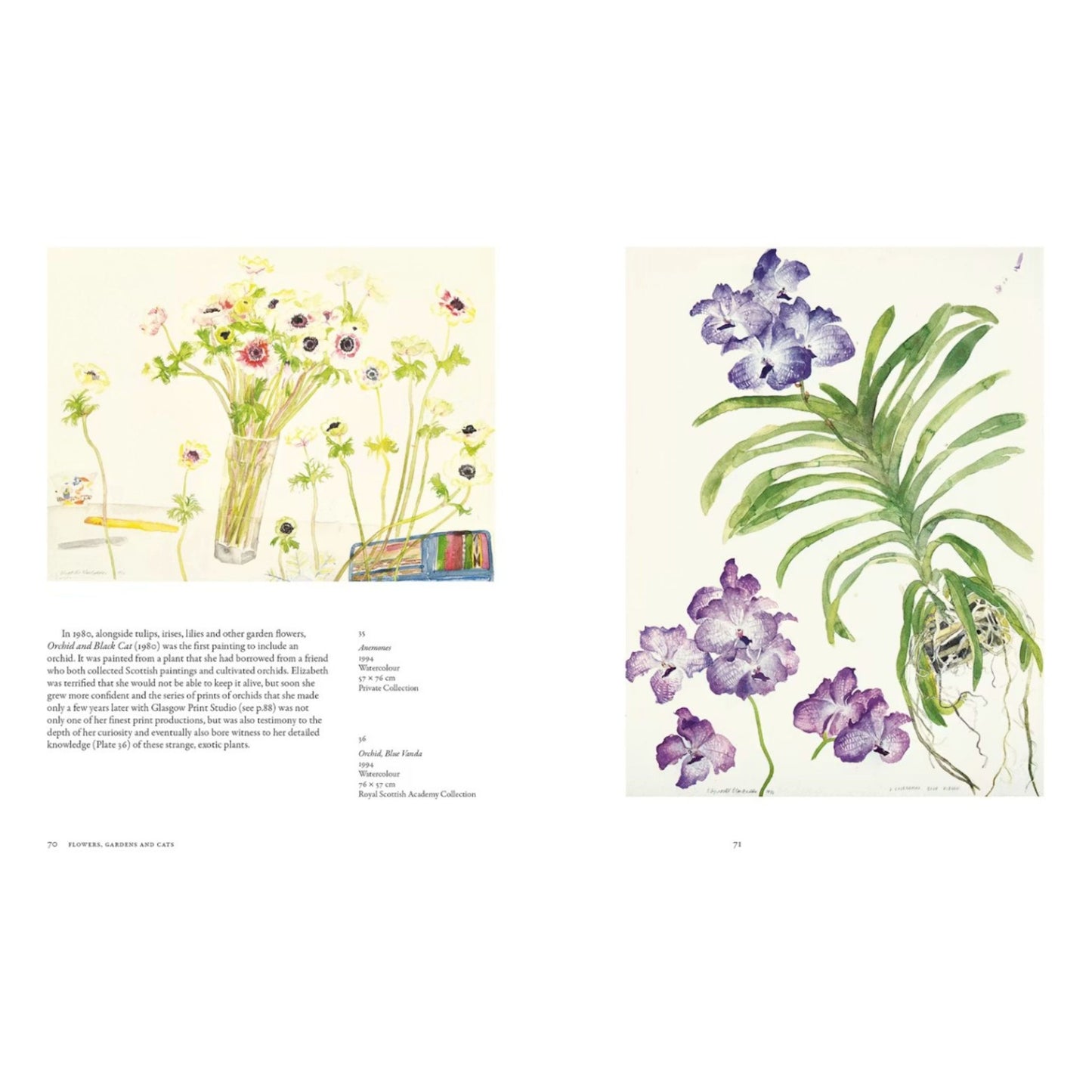 BOOK: The Art of Elizabeth Blackadder