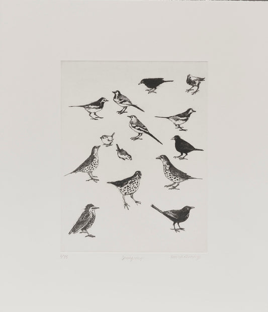 David Remfry: Springsongs Print