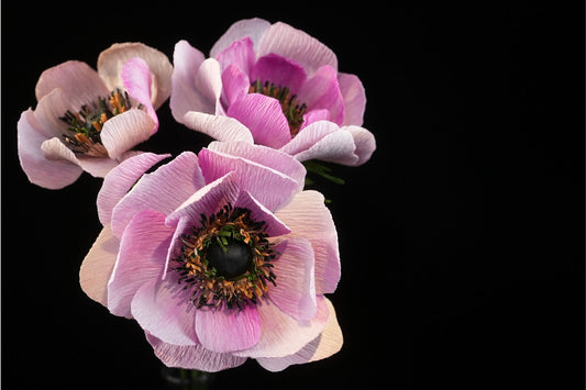 Paper Flower Making : Anemone | 11th September 2026