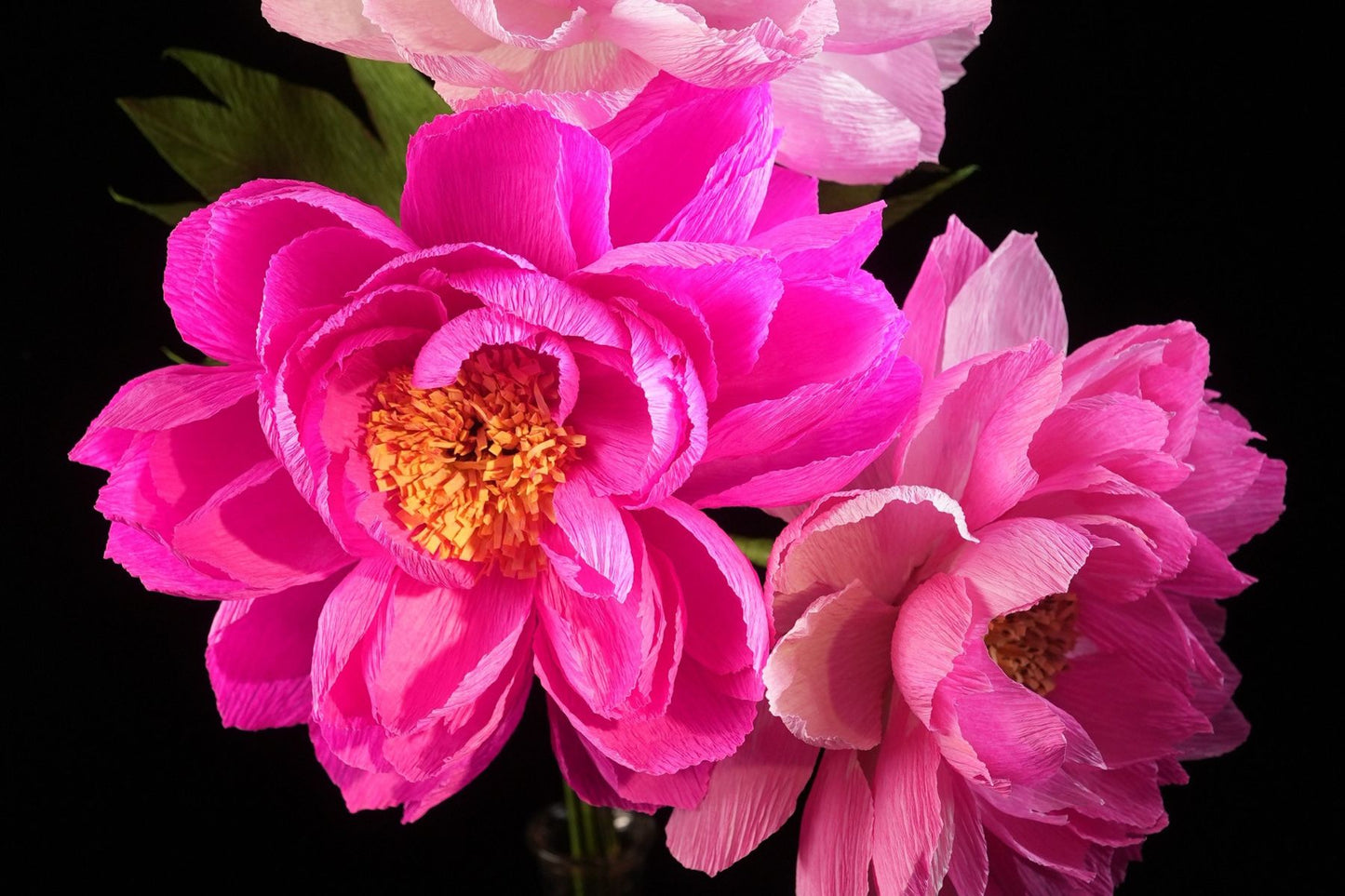 Paper Flower Making : Peony | 22nd August 2026