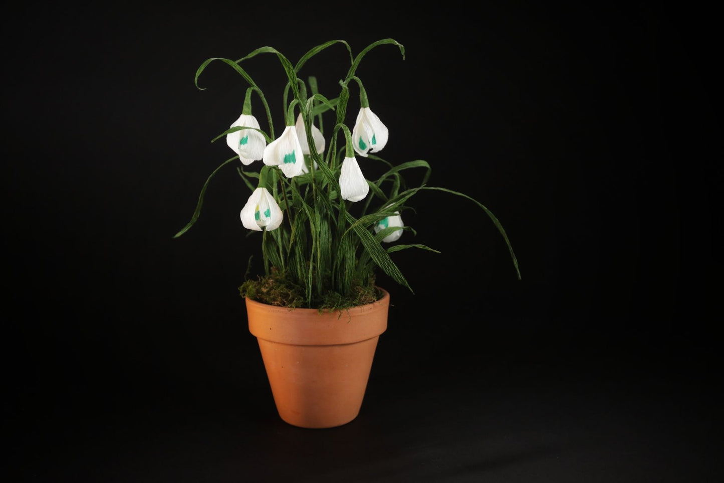Paper Flower Making: Snowdrops | 16th January 2027