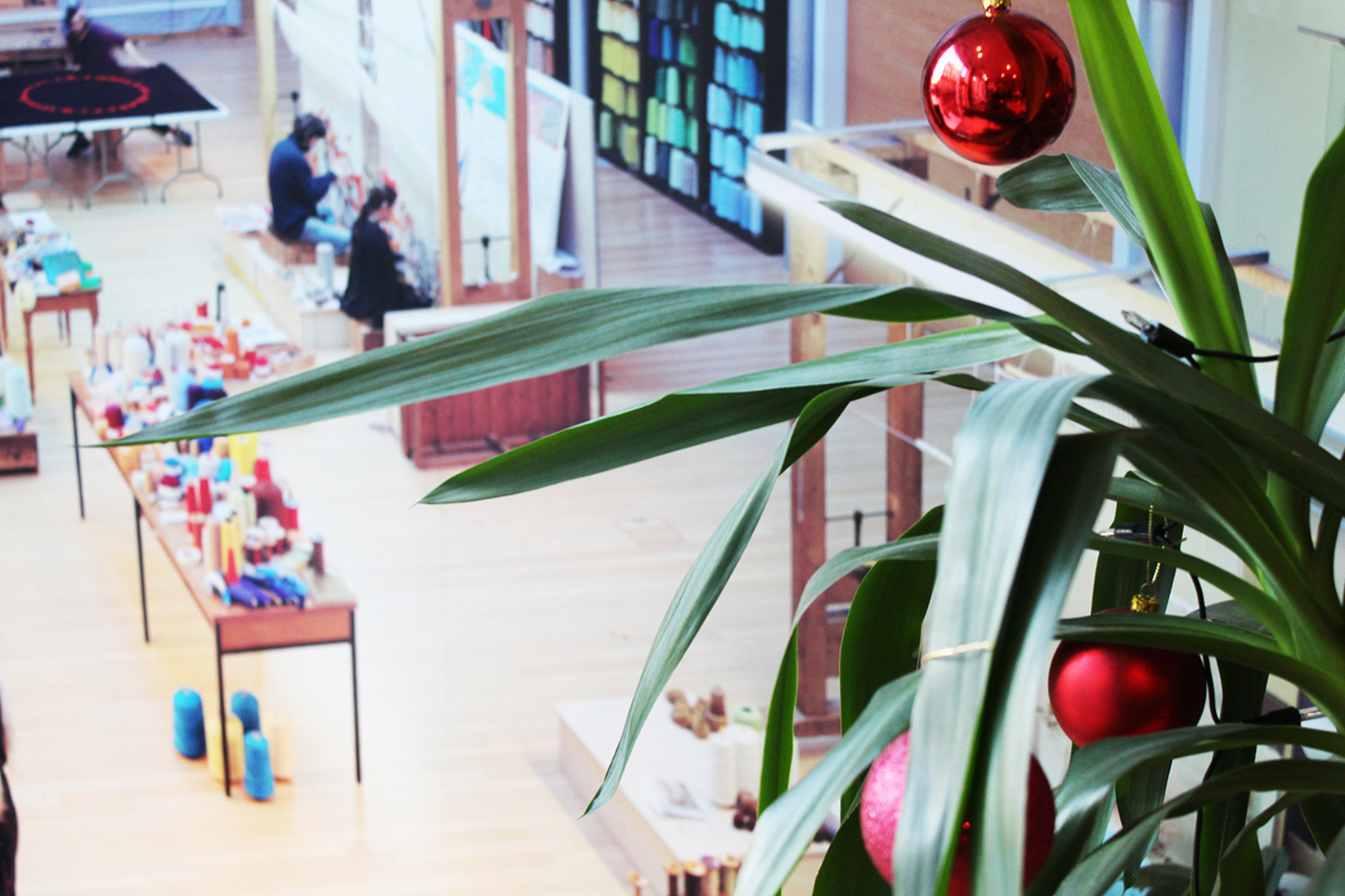 Festive Night at Dovecot