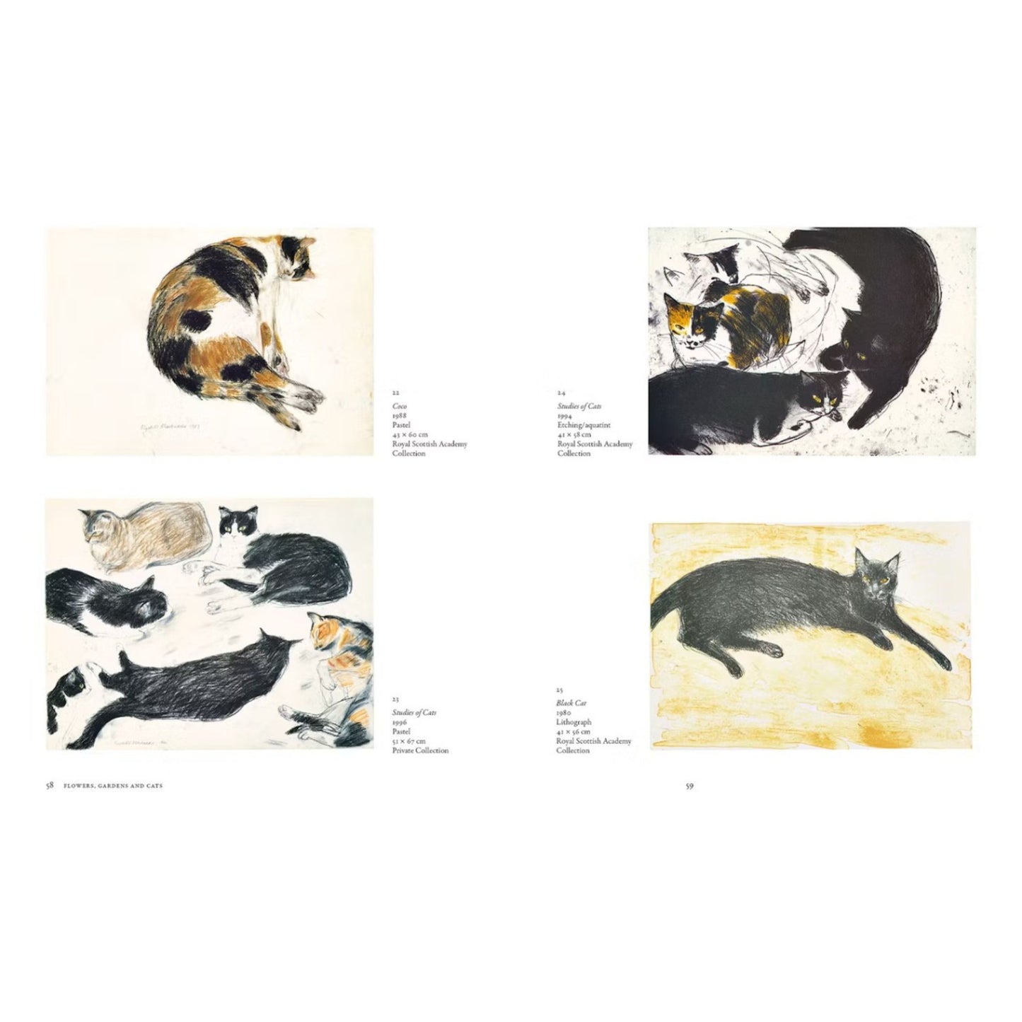 BOOK: The Art of Elizabeth Blackadder