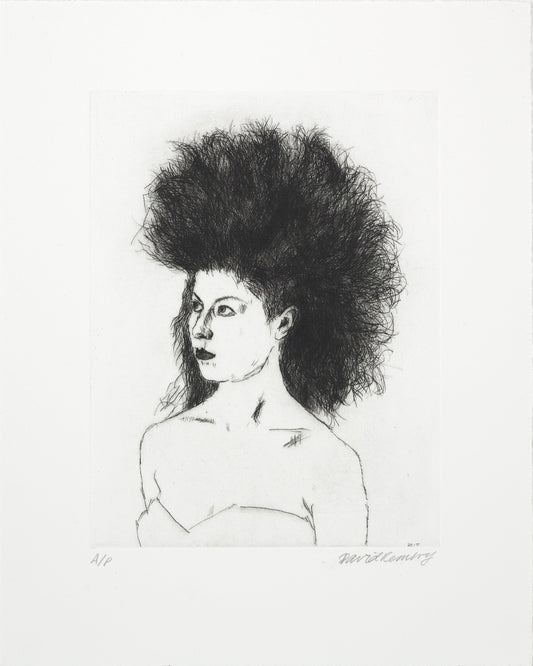 David Remfry: Anna Print