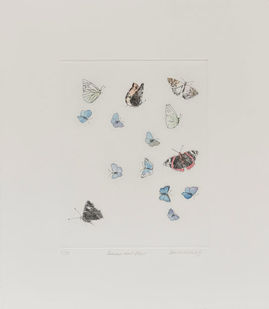 David Remfry: Summertime Blues Print