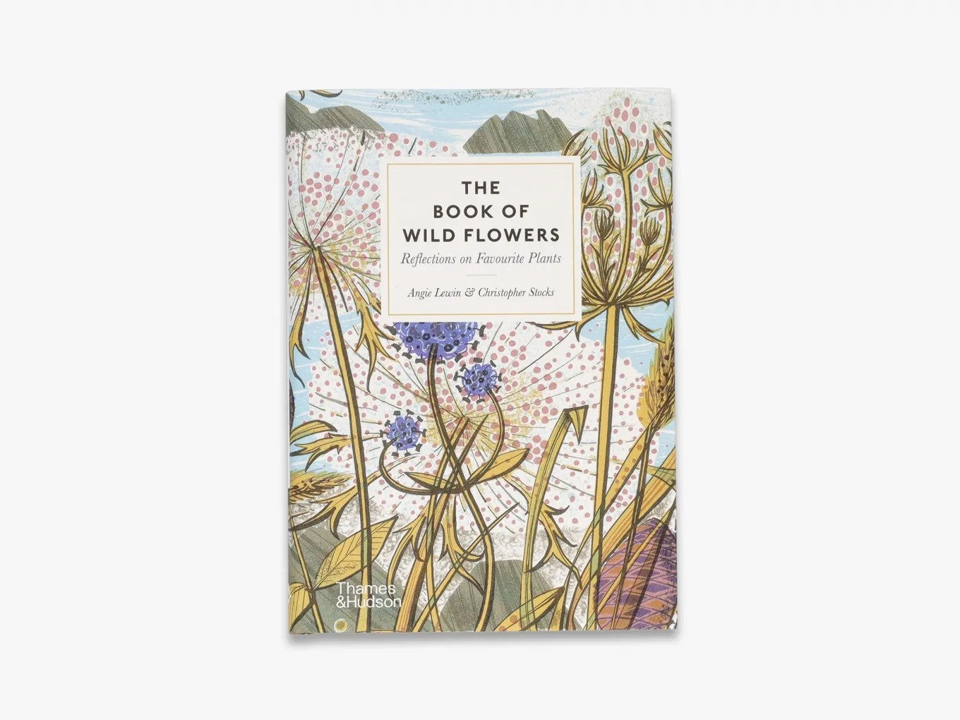 The Book of Wild Flowers: In Conversation with Angie Lewin