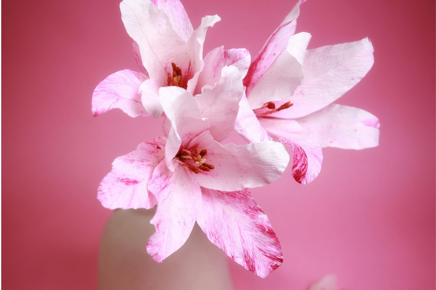 Paper Flower Making : Lily | 6th June 2026