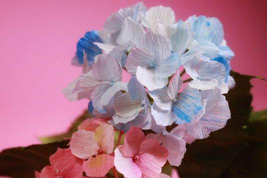 Paper Flower Making : Hydrangea | 2nd May 2026